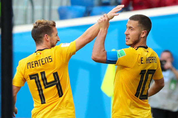 新的希望 新的希望