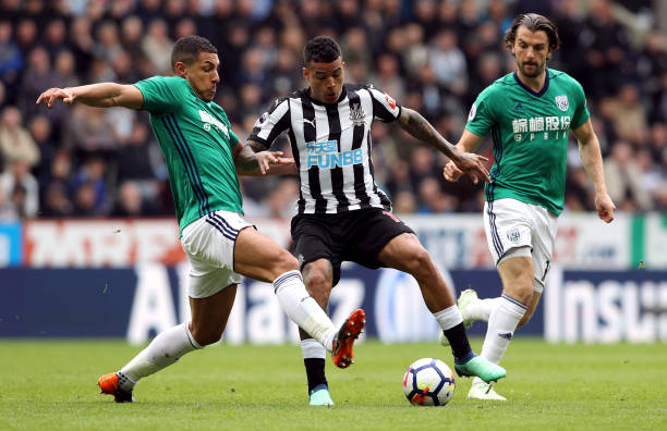 连续的面部 连续的面部