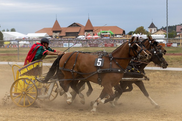 哈珀与科利 哈珀与科利