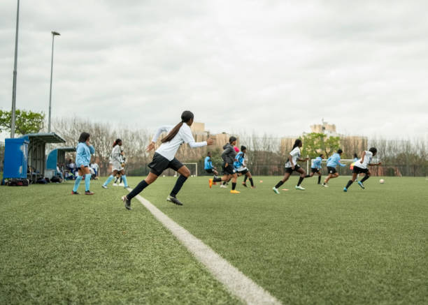 新星可能会 新星可能会